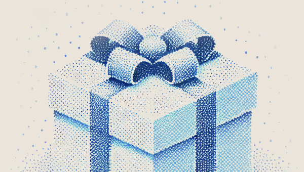 Discount Wrapped Gift box